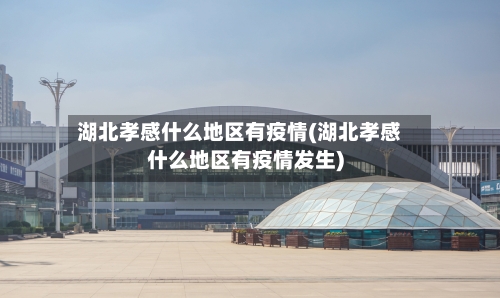 湖北孝感什么地区有疫情(湖北孝感什么地区有疫情发生)-第2张图片