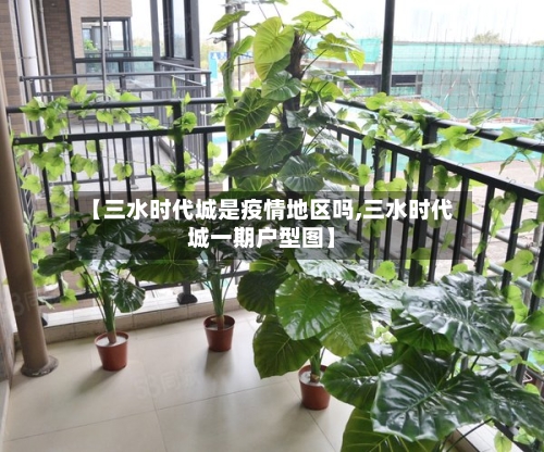【三水时代城是疫情地区吗,三水时代城一期户型图】