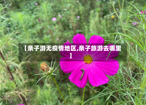 【亲子游无疫情地区,亲子旅游去哪里】