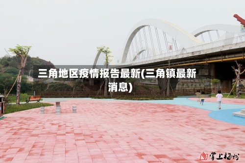 三角地区疫情报告最新(三角镇最新消息)-第2张图片
