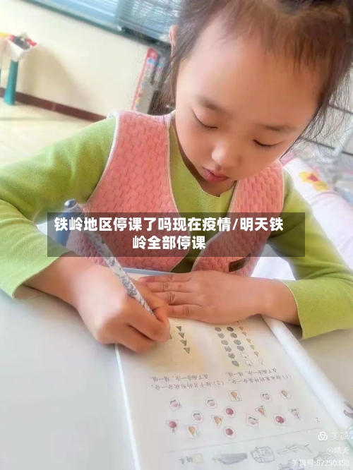 铁岭地区停课了吗现在疫情/明天铁岭全部停课-第2张图片