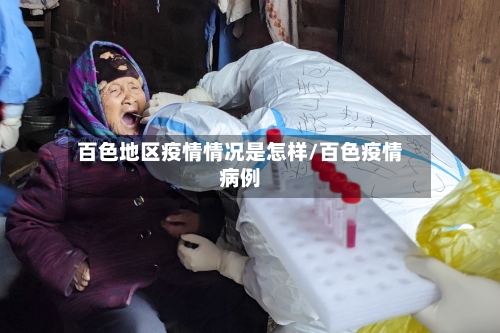 百色地区疫情情况是怎样/百色疫情病例-第2张图片