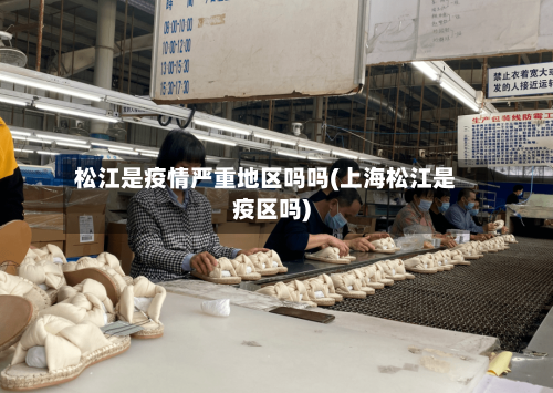 松江是疫情严重地区吗吗(上海松江是疫区吗)-第3张图片