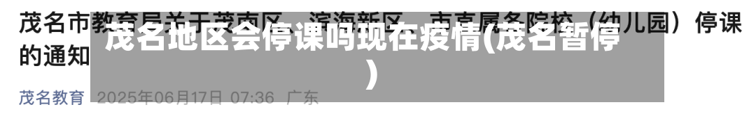 茂名地区会停课吗现在疫情(茂名暂停)
