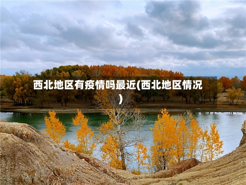 西北地区有疫情吗最近(西北地区情况)-第2张图片