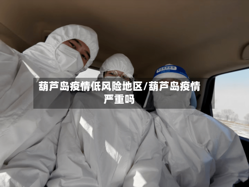 葫芦岛疫情低风险地区/葫芦岛疫情严重吗-第3张图片