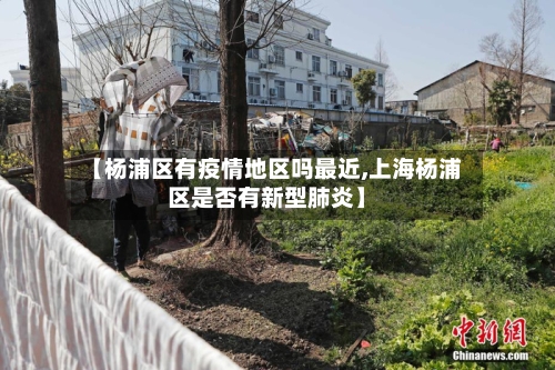 【杨浦区有疫情地区吗最近,上海杨浦区是否有新型肺炎】-第2张图片