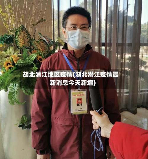 胡北潜江地区疫情(湖北潜江疫情最新消息今天新增)-第2张图片