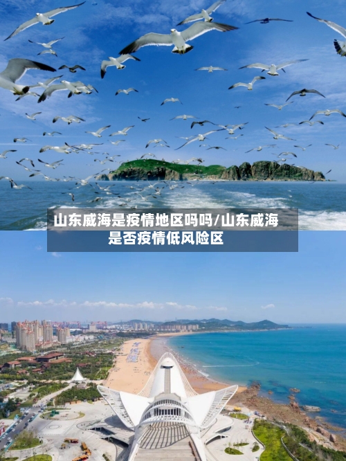 山东威海是疫情地区吗吗/山东威海是否疫情低风险区-第3张图片