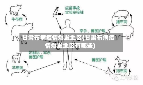 甘肃布病疫情爆发地区(甘肃布病疫情爆发地区有哪些)-第3张图片