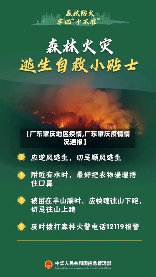 【广东肇庆地区疫情,广东肇庆疫情情况通报】-第3张图片