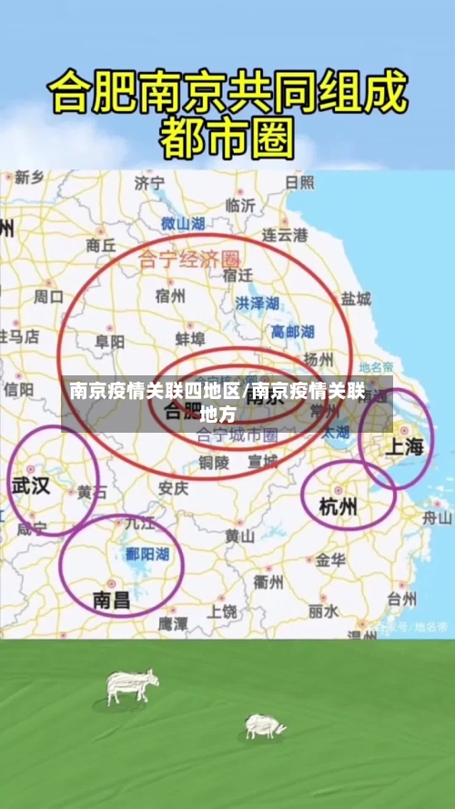 南京疫情关联四地区/南京疫情关联地方