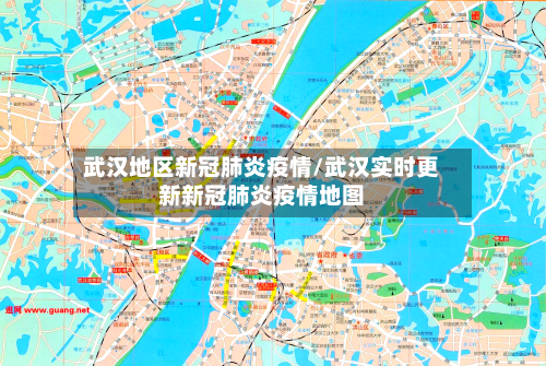 武汉地区新冠肺炎疫情/武汉实时更新新冠肺炎疫情地图-第2张图片