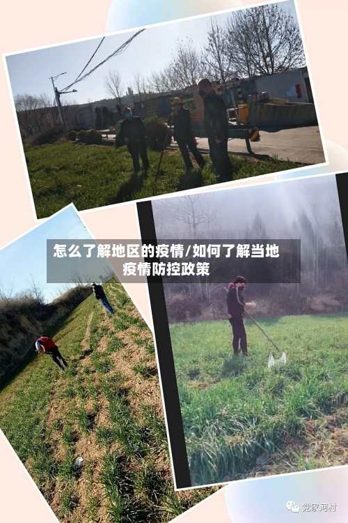 怎么了解地区的疫情/如何了解当地疫情防控政策