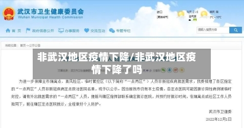 非武汉地区疫情下降/非武汉地区疫情下降了吗
