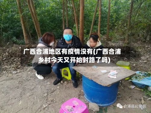 广西合浦地区有疫情没有(广西合浦乡村今天又开始封路了吗)-第2张图片