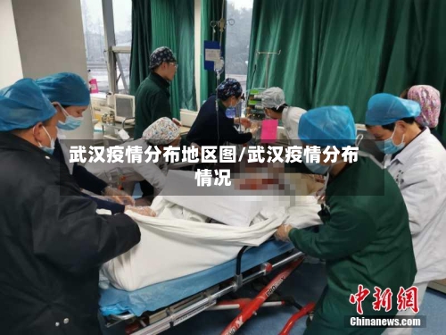 武汉疫情分布地区图/武汉疫情分布情况