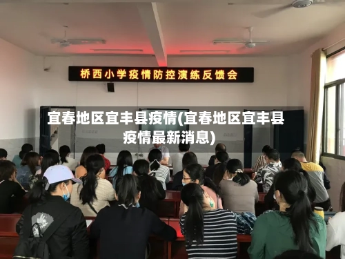 宜春地区宜丰县疫情(宜春地区宜丰县疫情最新消息)-第2张图片