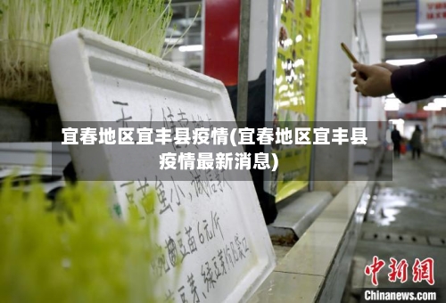 宜春地区宜丰县疫情(宜春地区宜丰县疫情最新消息)