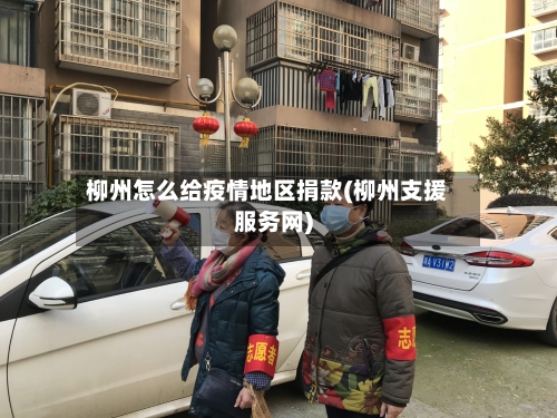 柳州怎么给疫情地区捐款(柳州支援服务网)
