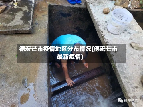 德宏芒市疫情地区分布情况(德宏芒市最新疫情)