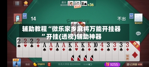 辅助教程“微乐家乡麻将万能开挂器”开挂(透视)辅助神器-第3张图片