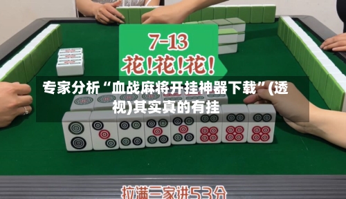 专家分析“血战麻将开挂神器下载”(透视)其实真的有挂-第3张图片