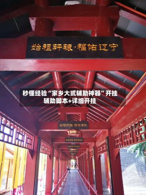 秒懂经验“家乡大贰辅助神器	”开挂辅助脚本+详细开挂-第2张图片