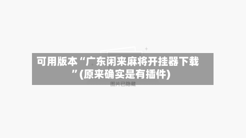 可用版本“广东闲来麻将开挂器下载	”(原来确实是有插件)-第2张图片