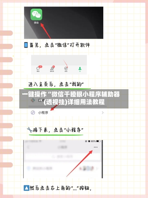一键操作“微信干瞪眼小程序辅助器 ”(透视挂)详细用法教程-第2张图片
