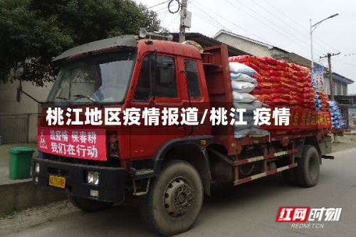 桃江地区疫情报道/桃江 疫情-第3张图片