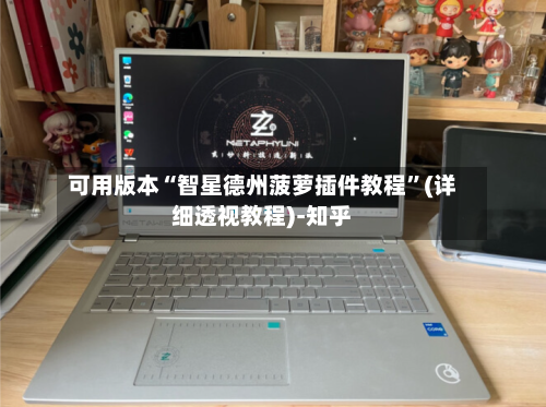 可用版本“智星德州菠萝插件教程”(详细透视教程)-知乎-第3张图片