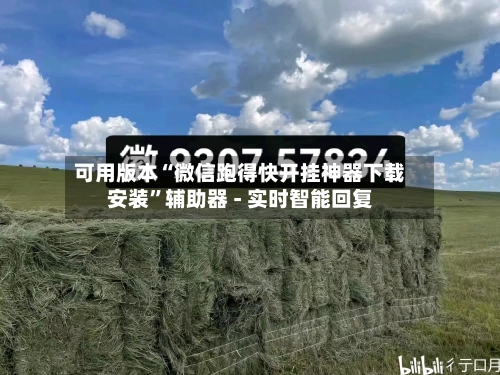可用版本“微信跑得快开挂神器下载安装”辅助器 - 实时智能回复-第2张图片