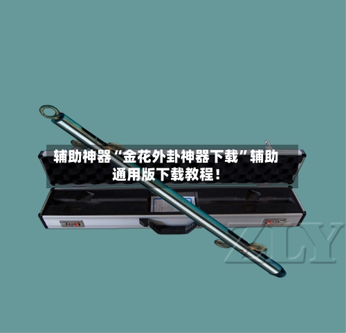 辅助神器“金花外卦神器下载	”辅助通用版下载教程！-第2张图片