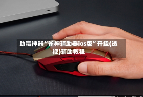 助赢神器“雀神辅助器ios版”开挂(透视)辅助教程