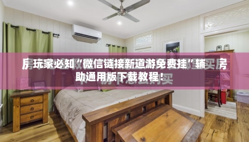 玩家必知“微信链接新道游免费挂	”辅助通用版下载教程！-第2张图片