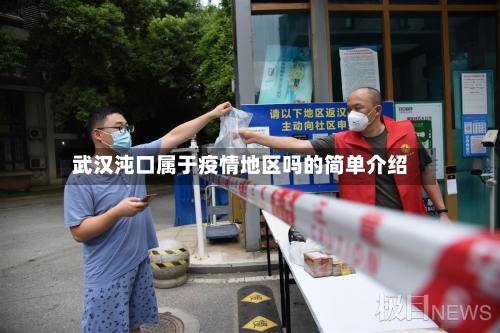 武汉沌口属于疫情地区吗的简单介绍-第2张图片