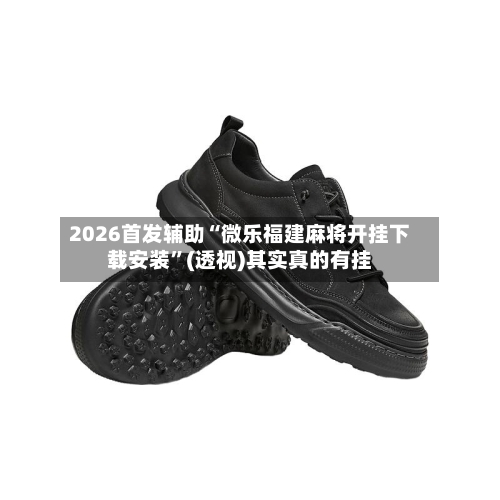 2026首发辅助“微乐福建麻将开挂下载安装”(透视)其实真的有挂-第2张图片