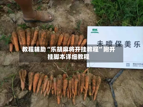 教程辅助“乐胡麻将开挂教程”附开挂脚本详细教程-第3张图片