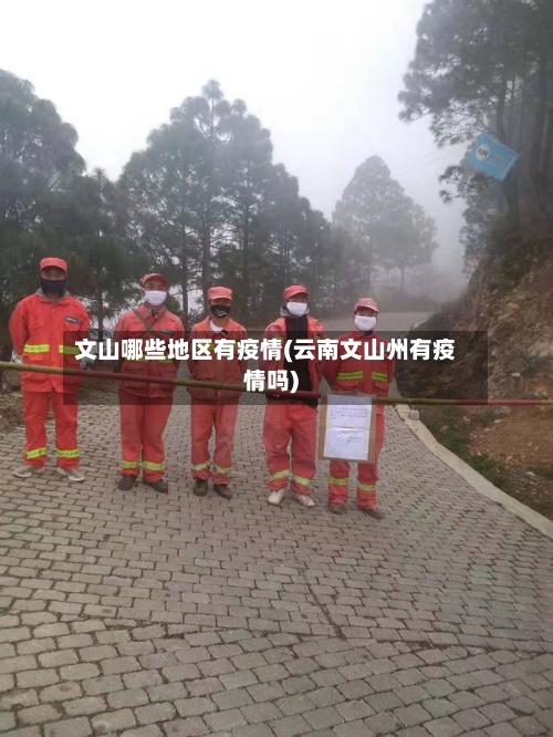文山哪些地区有疫情(云南文山州有疫情吗)