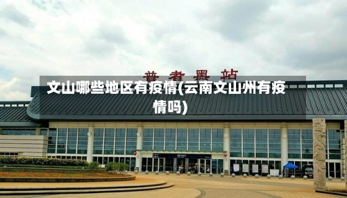 文山哪些地区有疫情(云南文山州有疫情吗)-第2张图片