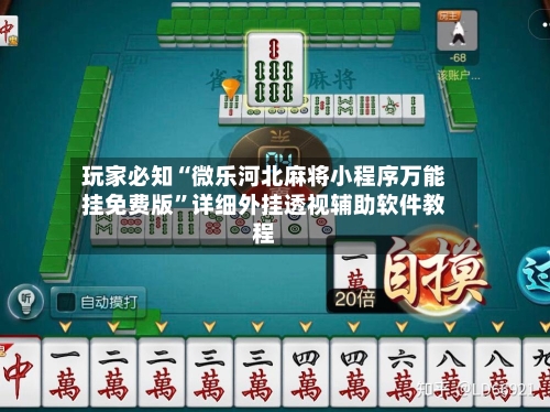 玩家必知“微乐河北麻将小程序万能挂免费版”详细外挂透视辅助软件教程-第3张图片