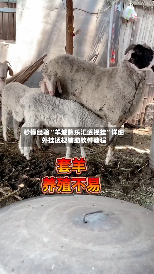 秒懂经验“羊城牌乐汇透视挂	”详细外挂透视辅助软件教程-第2张图片