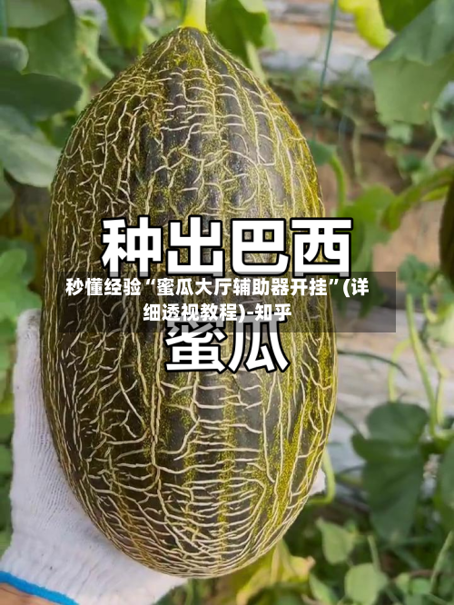 秒懂经验“蜜瓜大厅辅助器开挂	”(详细透视教程)-知乎-第2张图片