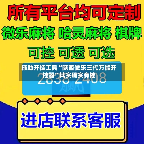 辅助开挂工具“陕西微乐三代万能开挂器”其实确实有挂-第2张图片