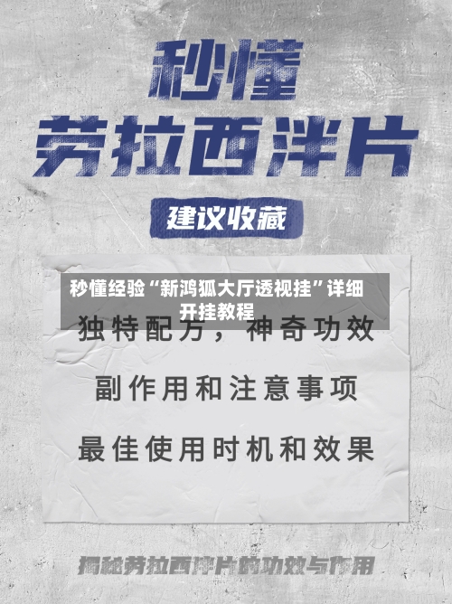 秒懂经验“新鸿狐大厅透视挂”详细开挂教程-第3张图片