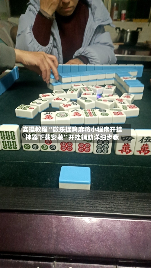 实操教程“微乐捉鸡麻将小程序开挂神器下载安装	”开挂辅助详细步骤-第2张图片
