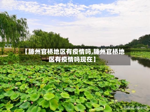 【滕州官桥地区有疫情吗,滕州官桥地区有疫情吗现在】