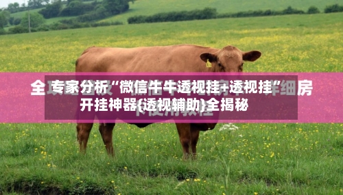 专家分析“微信牛牛透视挂+透视挂”开挂神器{透视辅助}全揭秘-第2张图片