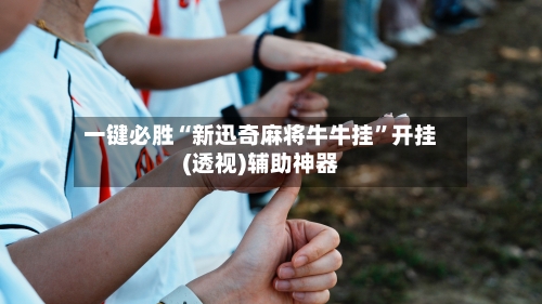 一键必胜“新迅奇麻将牛牛挂”开挂(透视)辅助神器-第3张图片